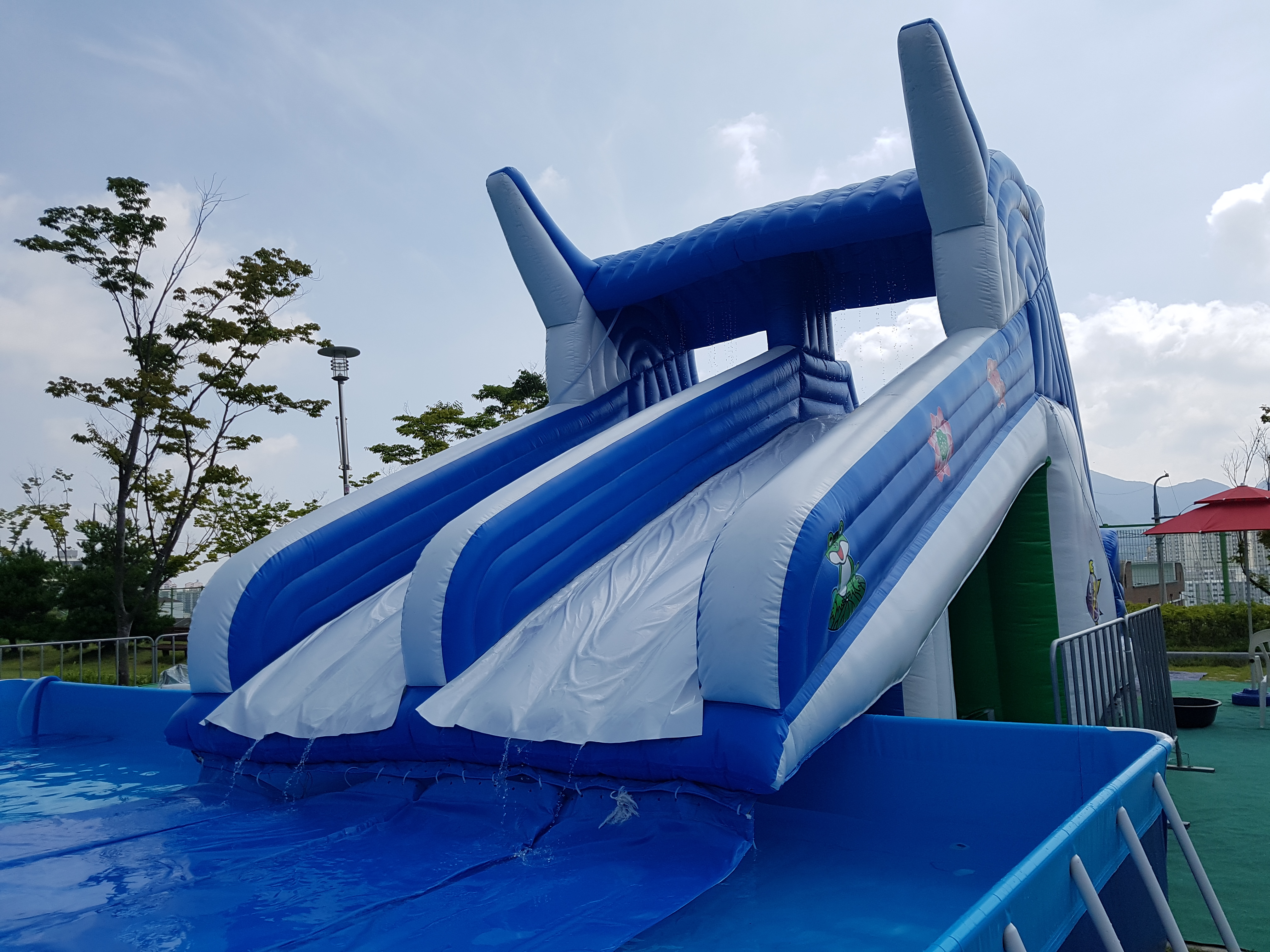 20180713_095236.jpg
